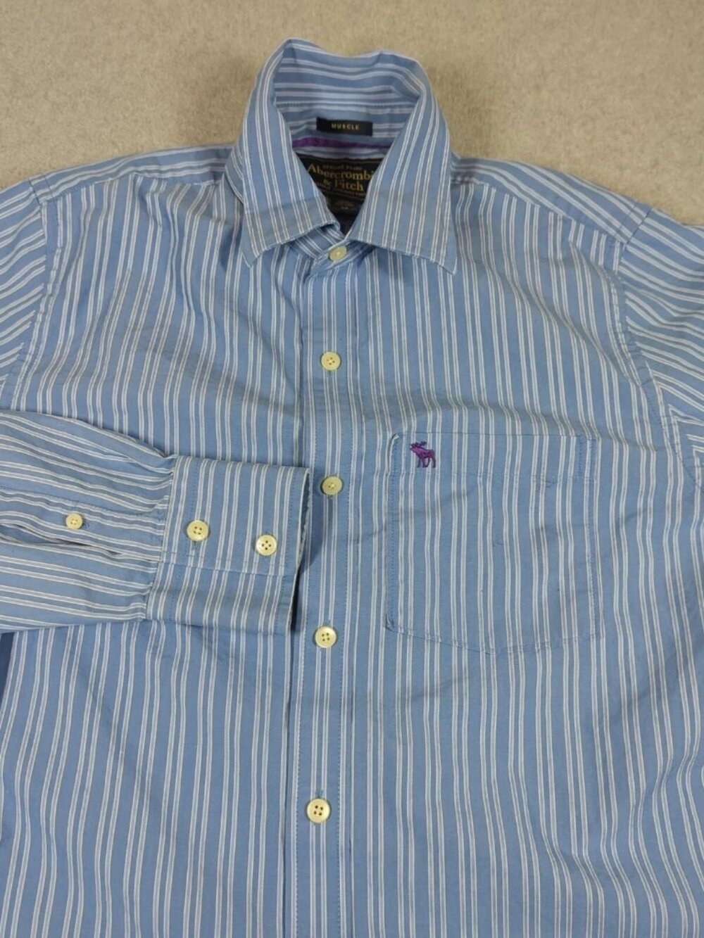 Abercrombie & Fitch Shirt Men's Medium Blue Muscle Fit Long Sleeve Button Up